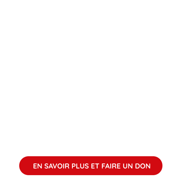 FORMATION PROFESSIONNELLE FORMATION PROFESSIONNELLE